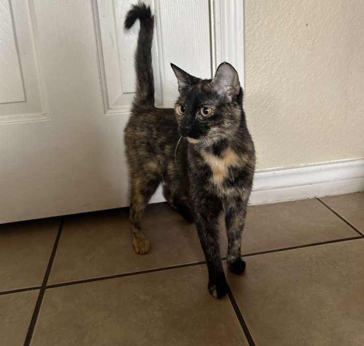 Photo of Cleo
