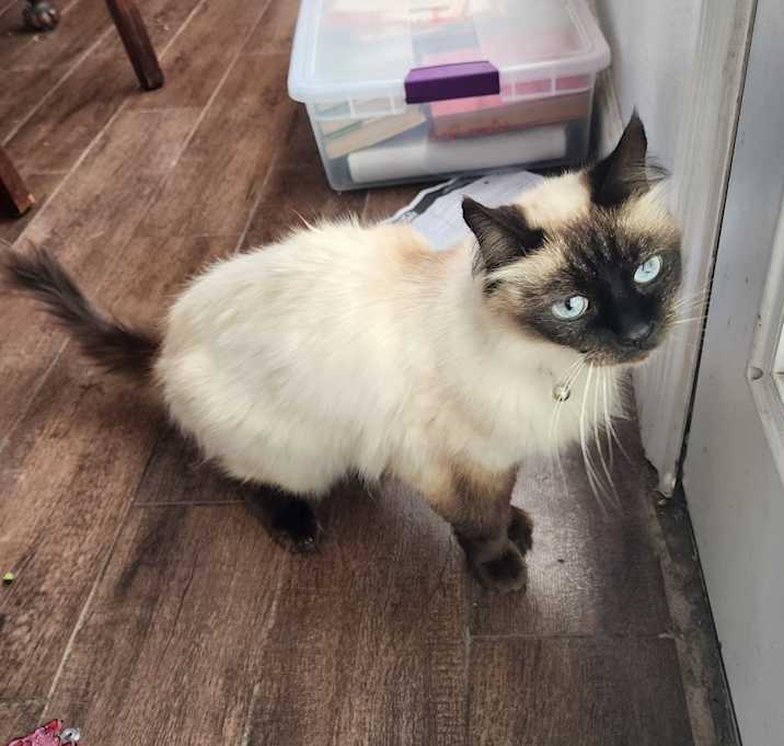 Photo of Aurora