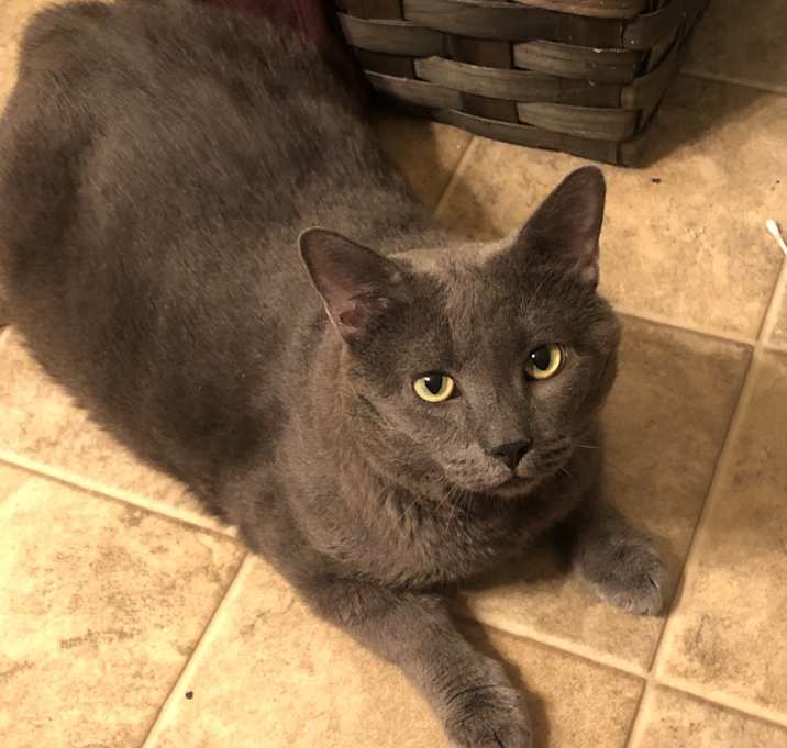 Photo of Juice