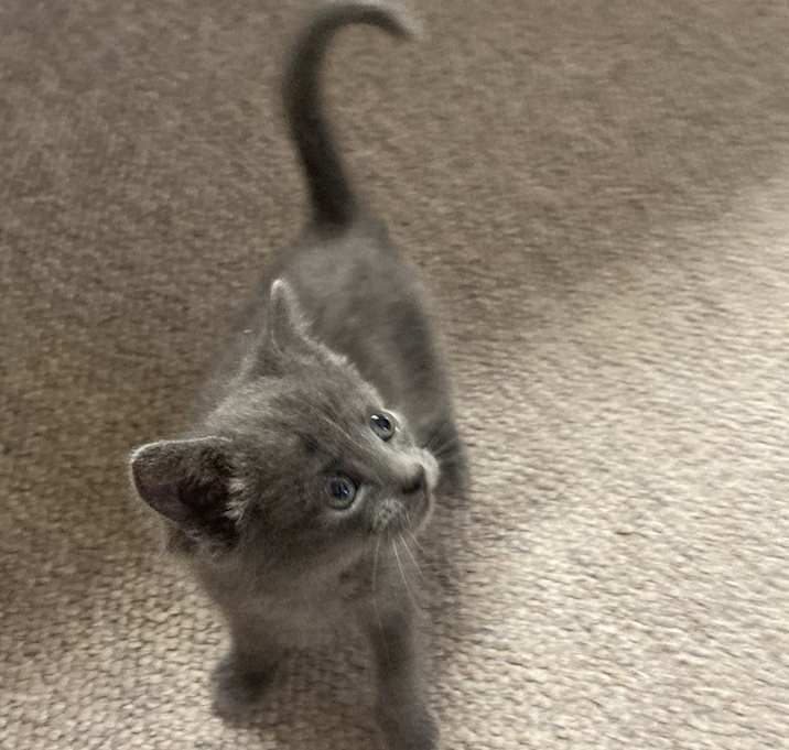 Photo of Cleo