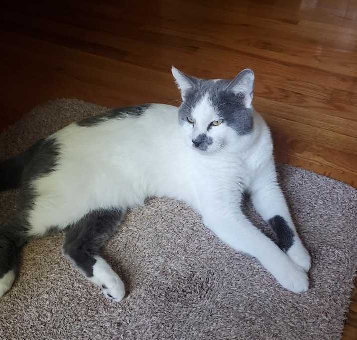 Photo of Asher