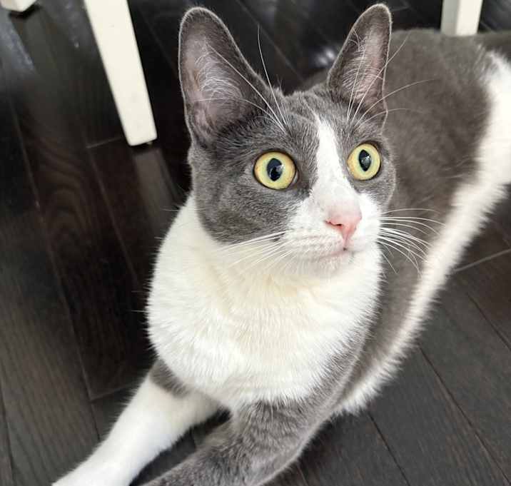 Photo of Boba