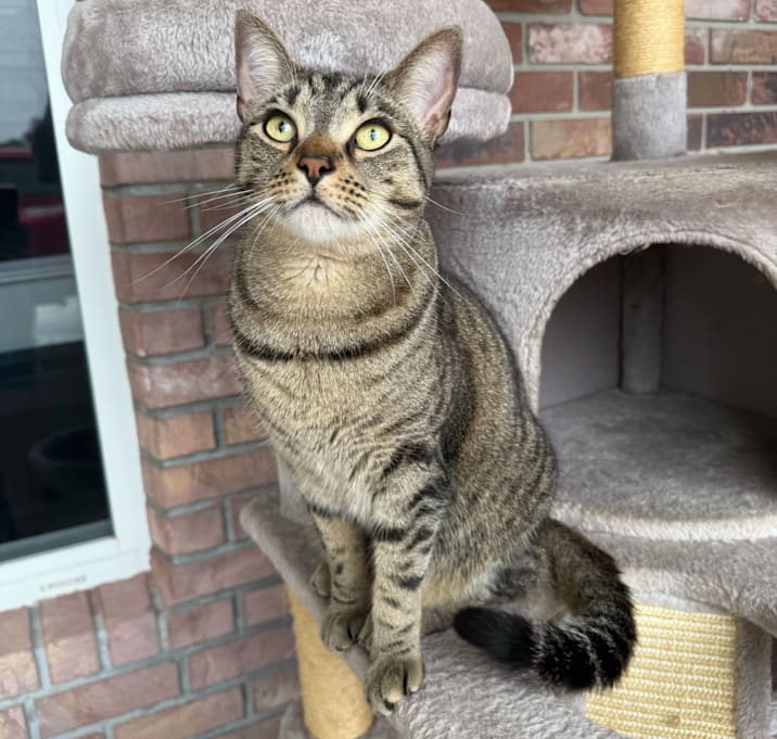 Photo of Melvin
