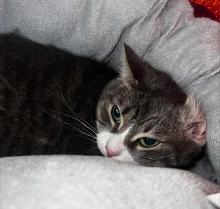 Photo of Luna