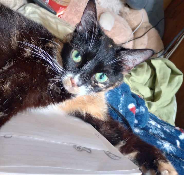Photo of Jack