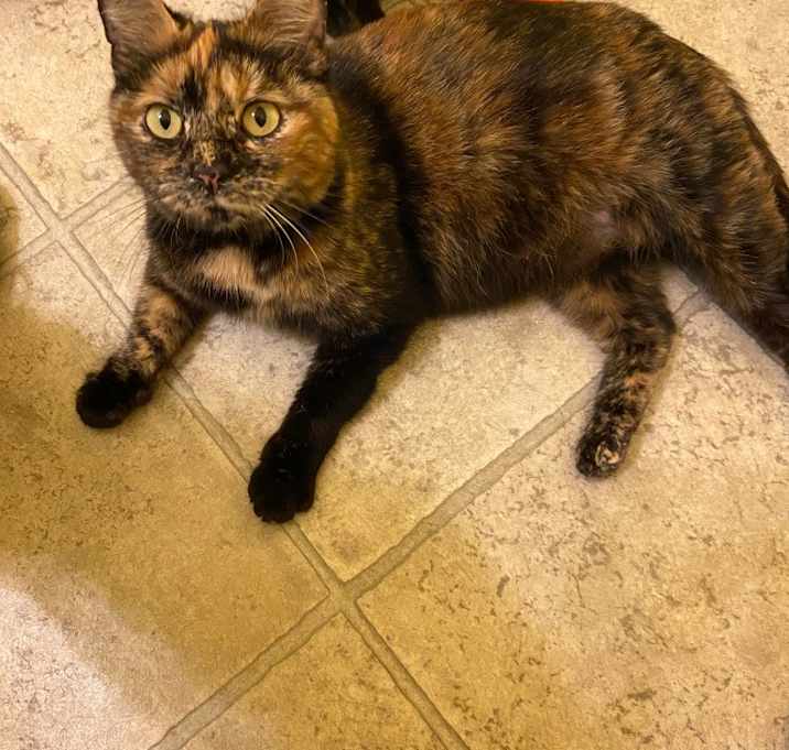 Photo of Winifred