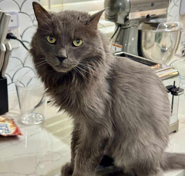 Photo of Heisenberg