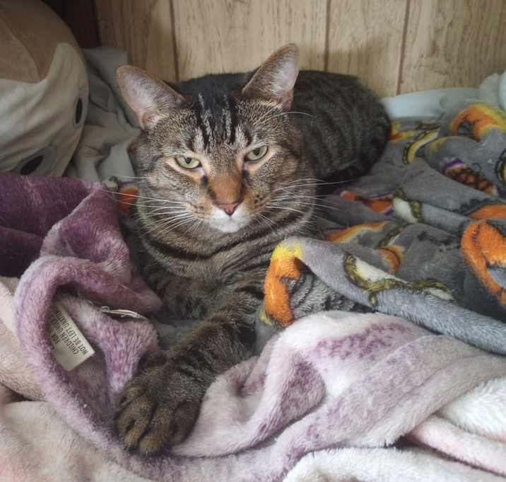 Photo of Mischief