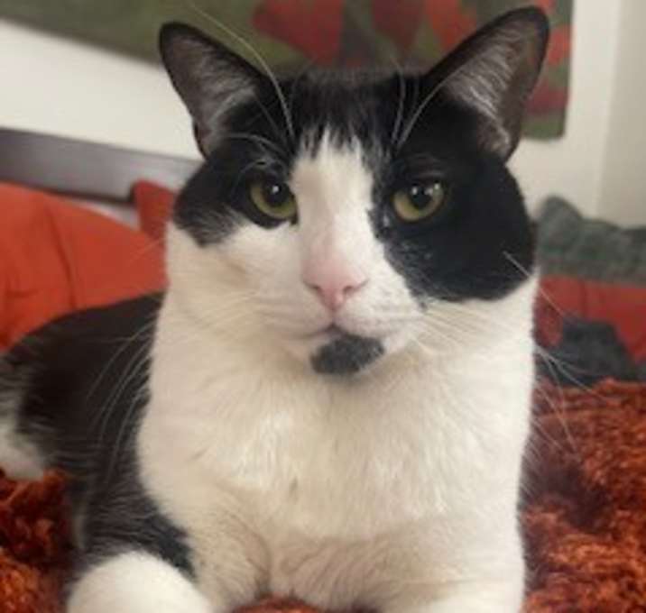 Photo of Walle