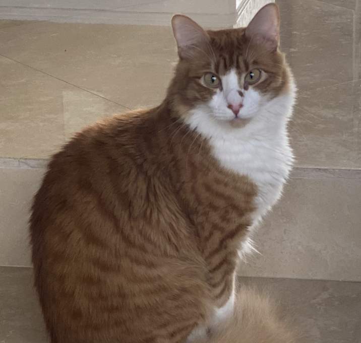 Photo of Max