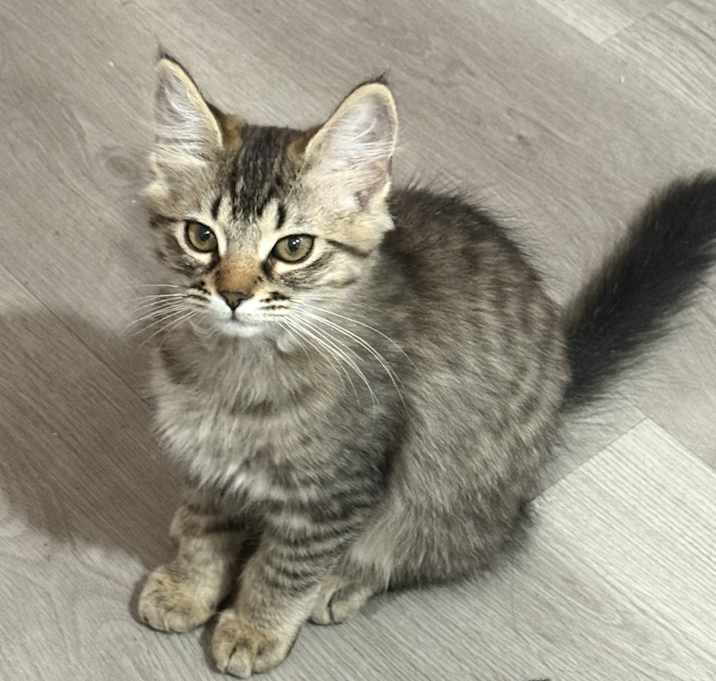 Photo of Minnie