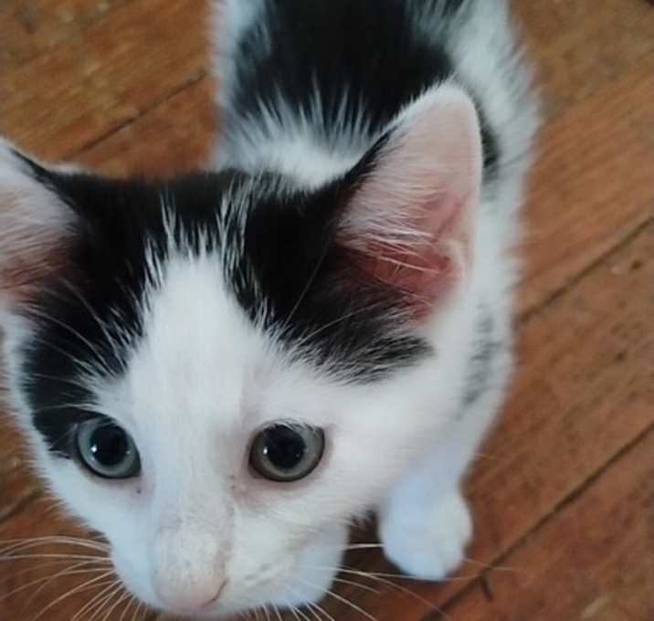 Photo of Molly