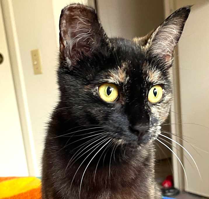 Photo of Malina is a sweetie!