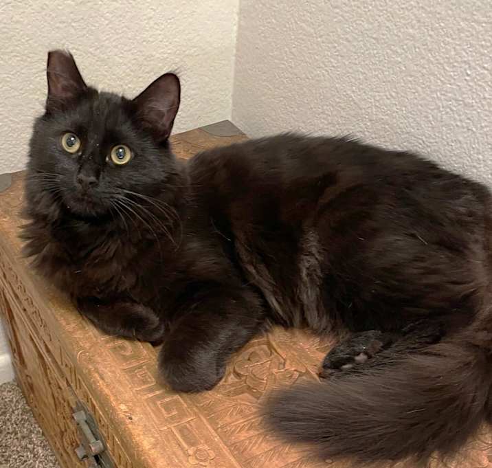 Photo of Fozzy Bear is fun loving!