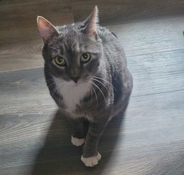 Photo of Rocky