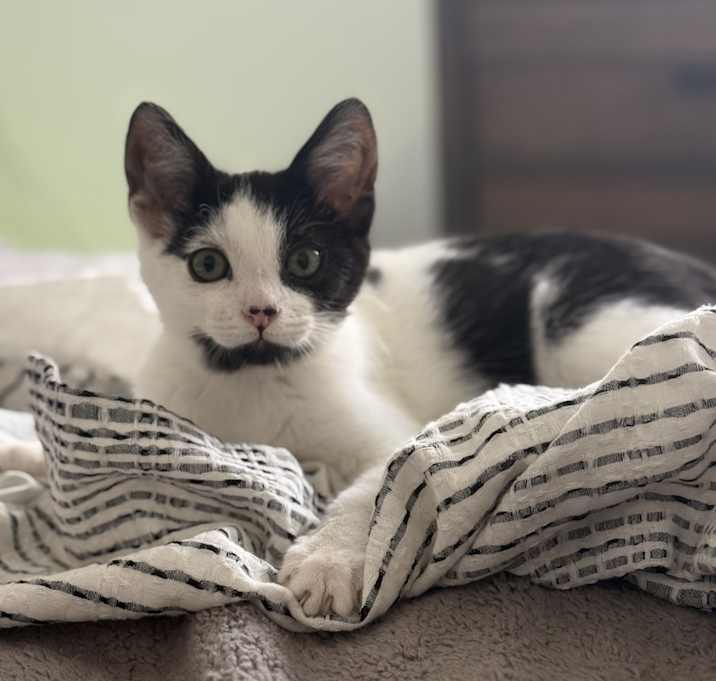 Photo of Jack