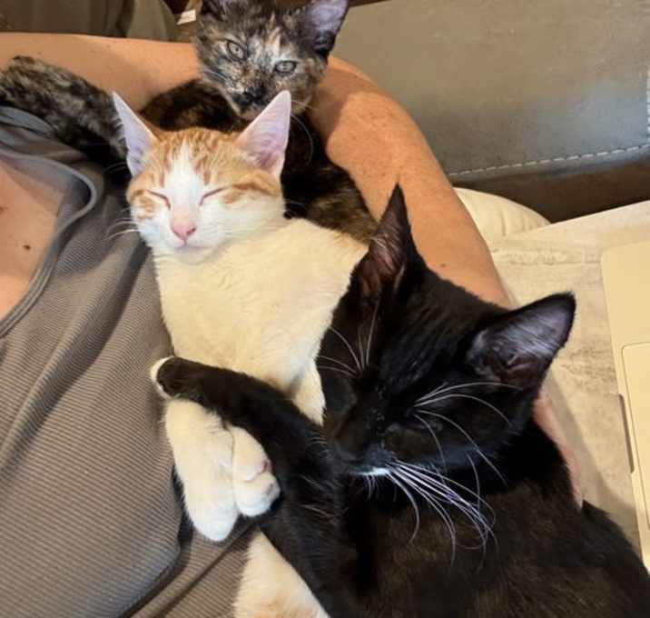 Photo of Grover, Pismo, & Avila - natural companions