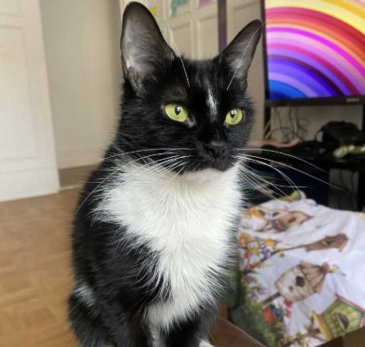 Photo of Persephone & Salem