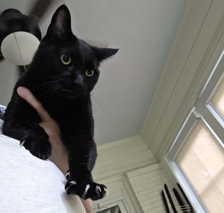 Photo of Kiki
