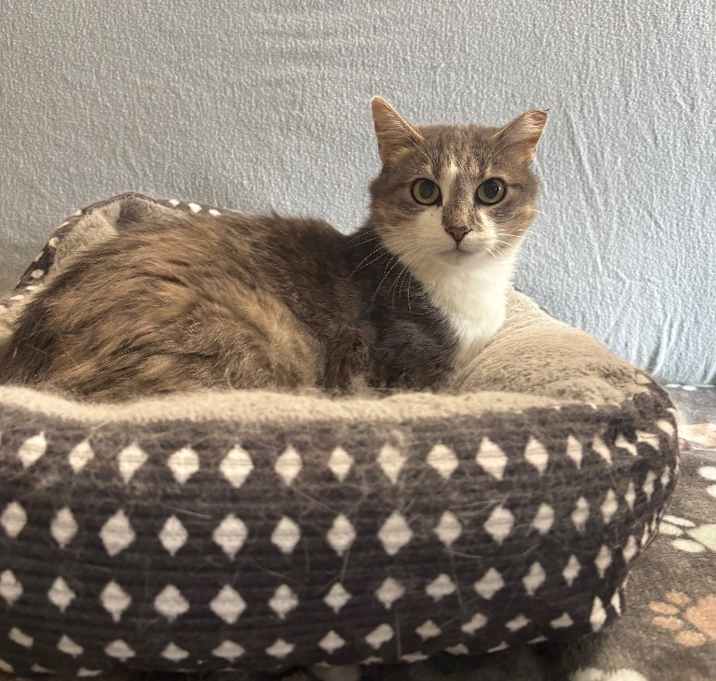 Photo of Ms Grey