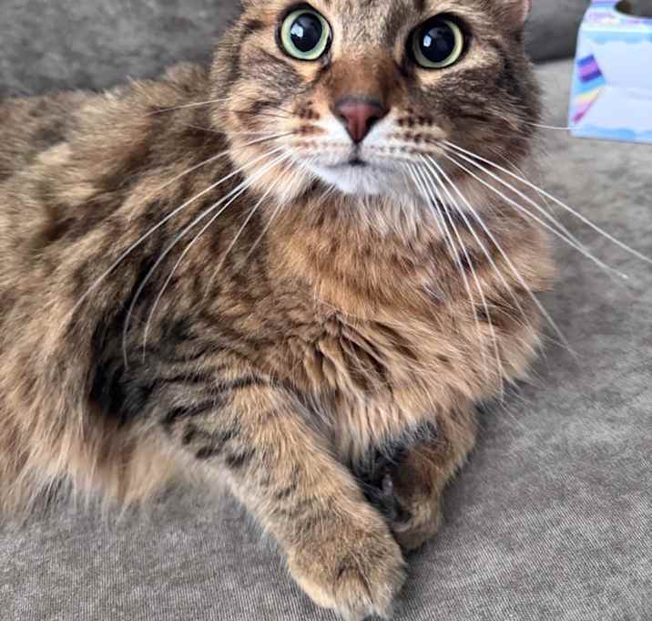 Photo of Elsa