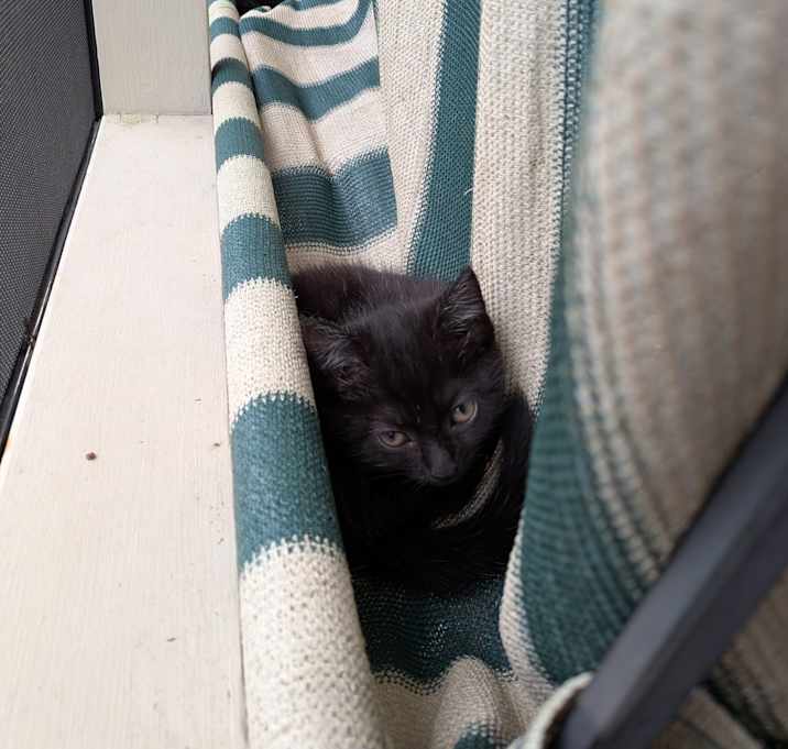 Photo of Tia