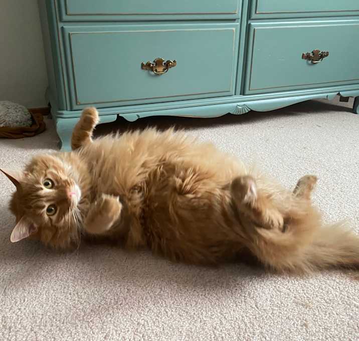 Photo of Murray