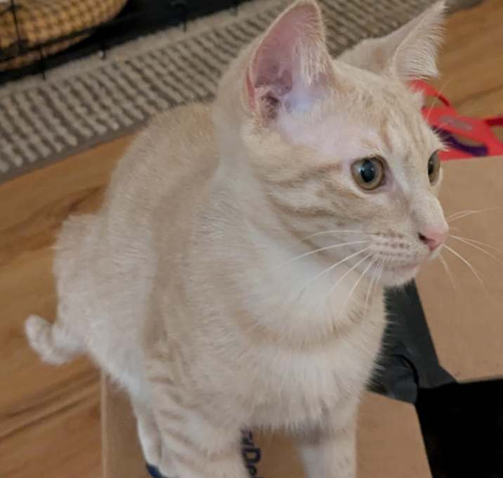 Photo of Franklin