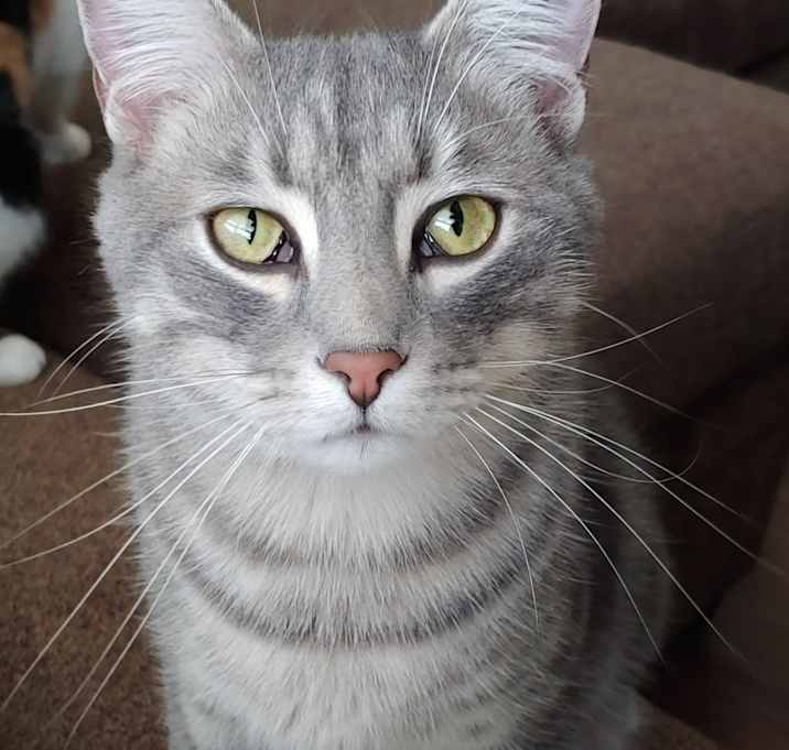 Photo of Tobi