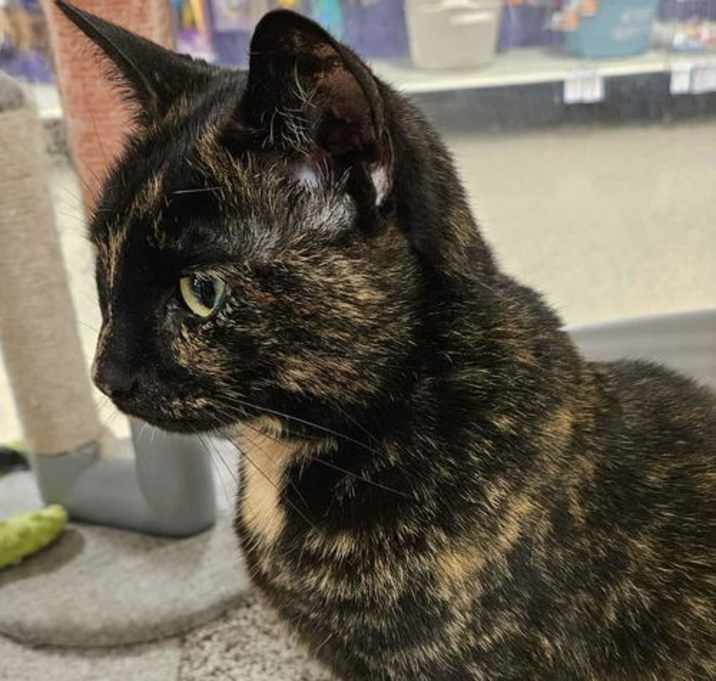 Photo of Crystal