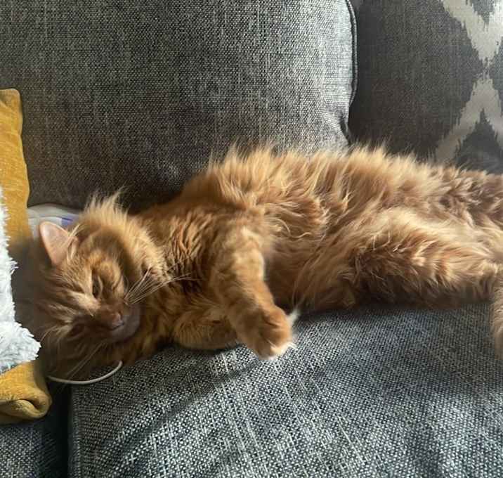 Photo of Jasper