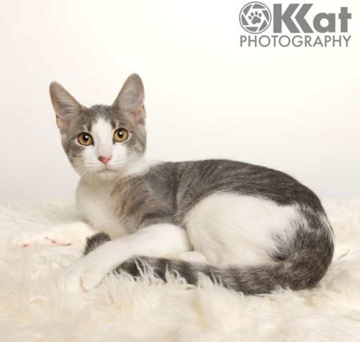 Photo of Moo
