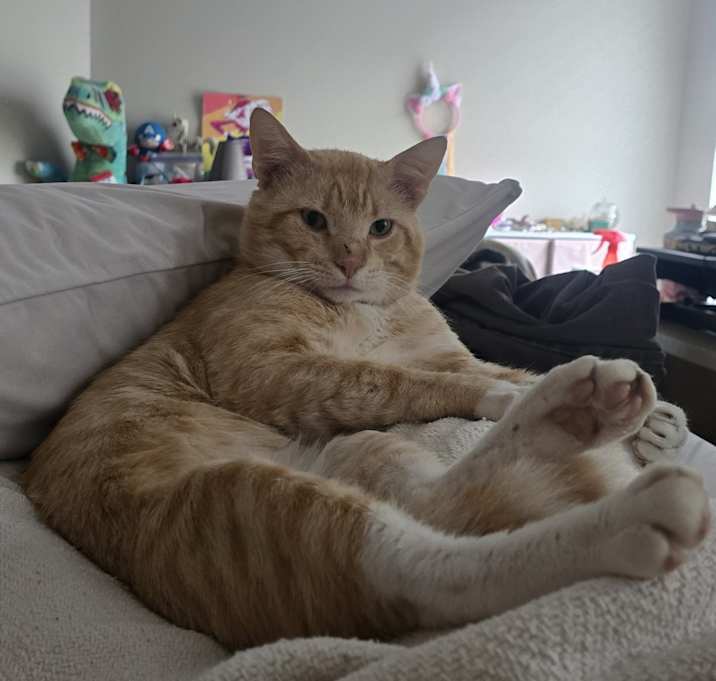 Photo of Oliver