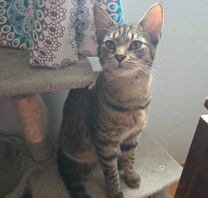 Photo of Ralphie
