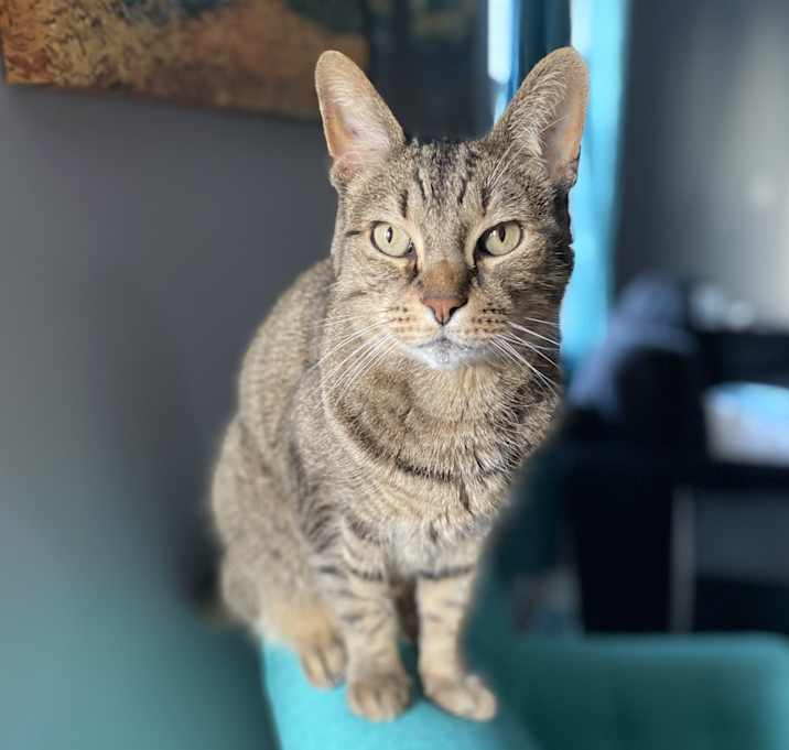 Photo of Jinx