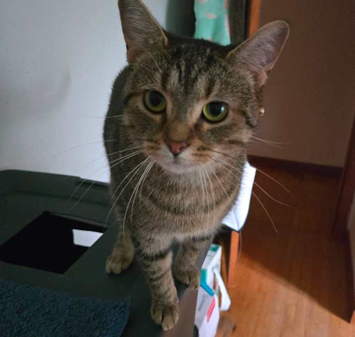 Photo of Xena