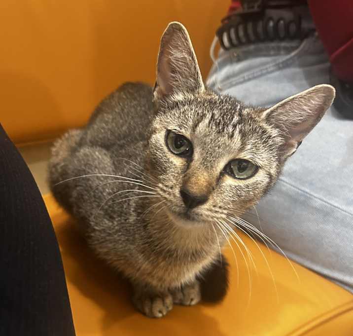 Photo of Unnamed