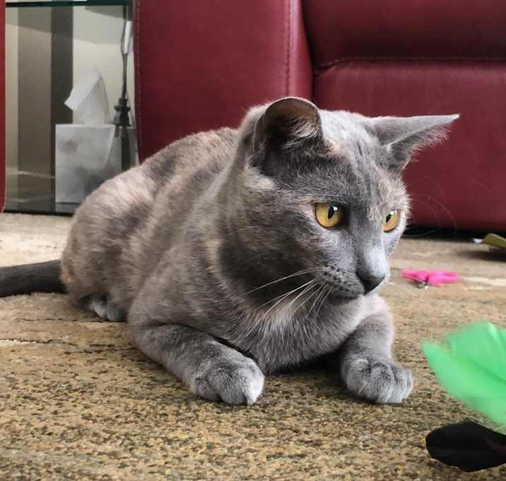 Photo of Greta