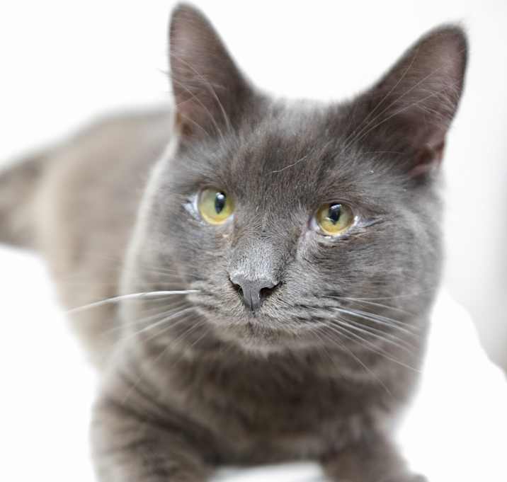 Photo of Oatmeal