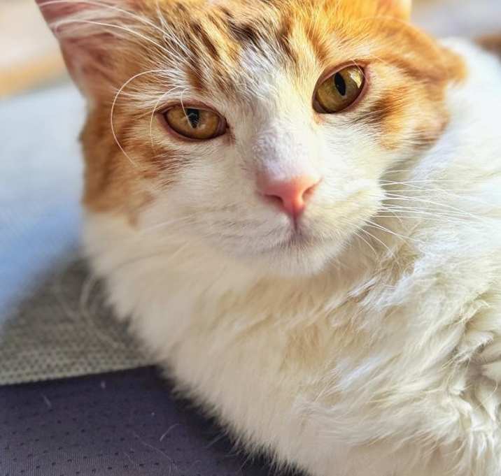 Photo of Princess Dasha