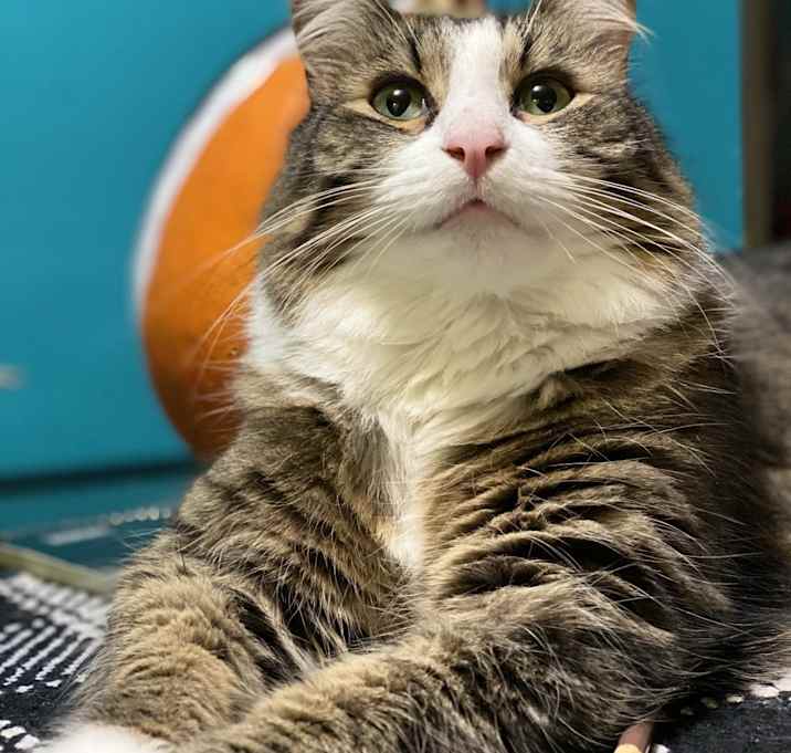 Photo of Zeus