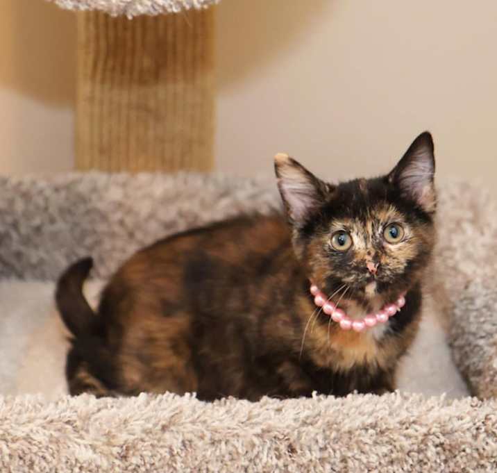 Photo of Roz