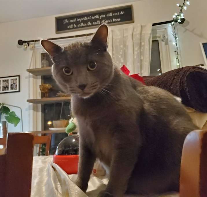 Photo of Floyd