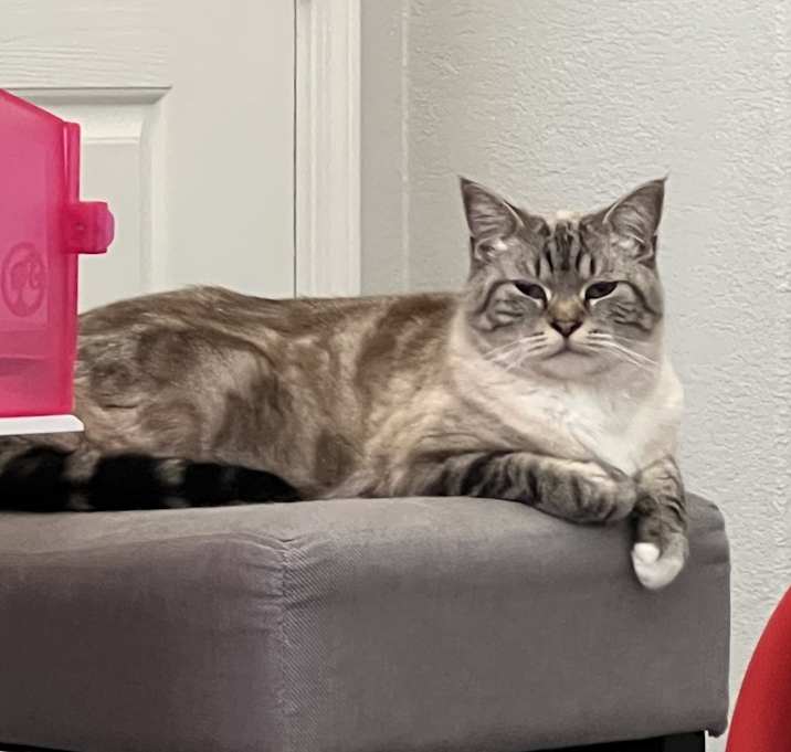 Photo of Luna
