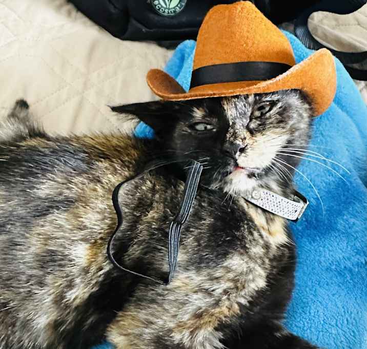 Photo of Calamity Jane “Janie”