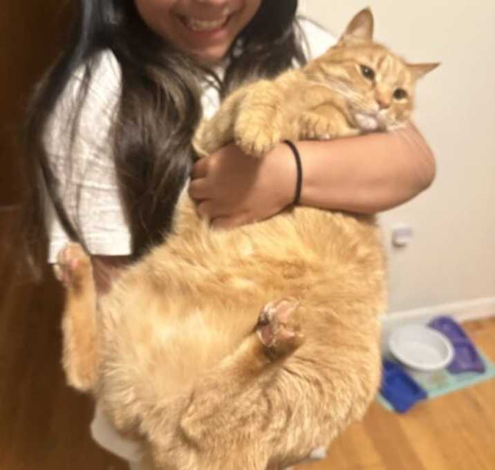 Photo of Rusty