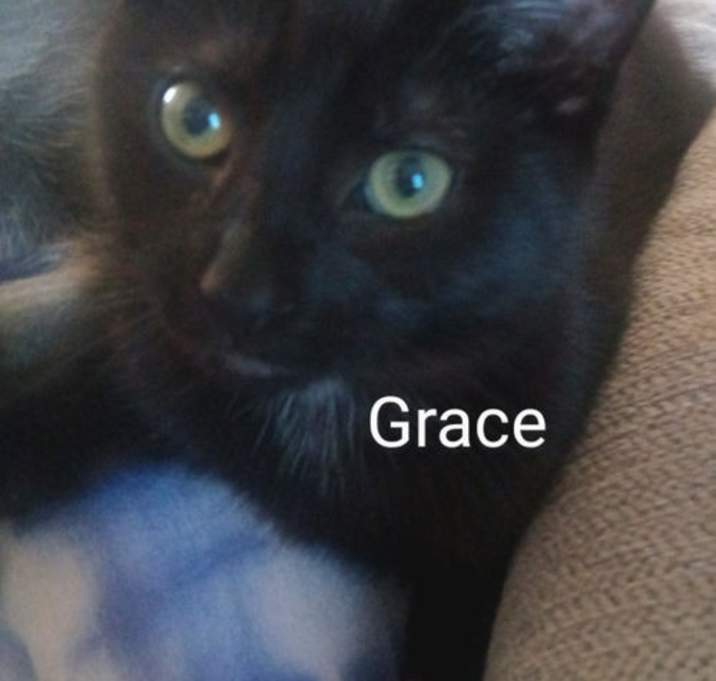 Photo of Grace