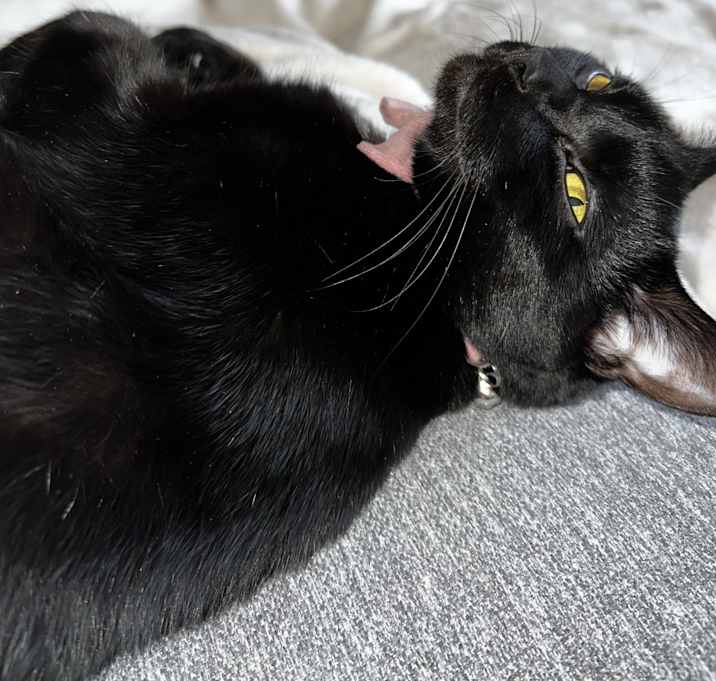 Photo of Spooky