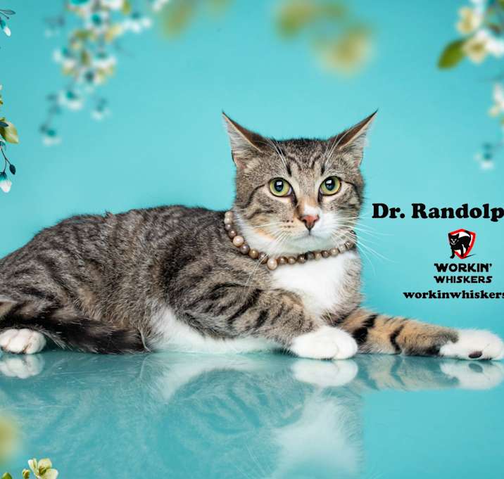 Photo of DR RANDOLPH BELL