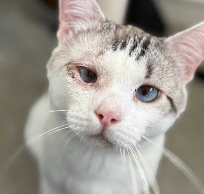 Photo of Mikie